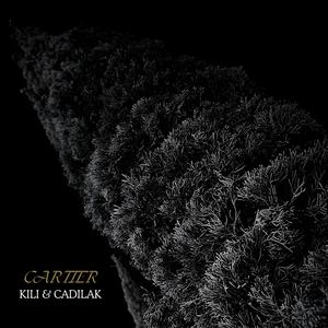 CARTIER (feat. Cadilak)