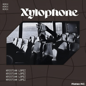 Xylophone (Remix)