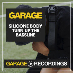 Turn up the Bassline (Original Mix)