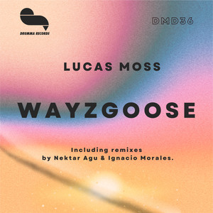 Wayzgoose (Ignacio Morales Remix)