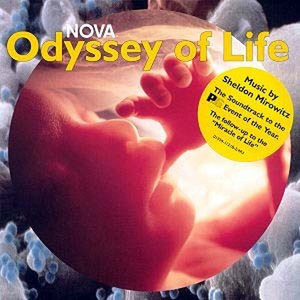 Nova: The Odyssey Of Life