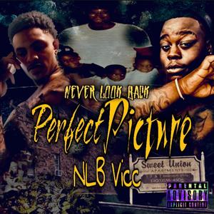 Perfect Picture (Explicit)