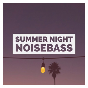 Summer Night (Original Mix)
