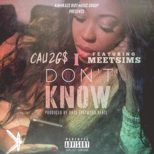 i dont know(feat. MeetSims) (Explicit)