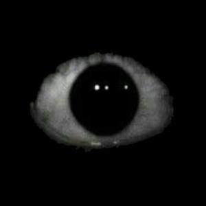 Dinero Flow (Explicit)