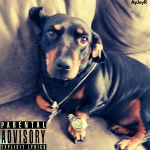 Relapse (feat. stash bwahy, Magnum 4d5 & B.O.L.R) (Explicit)