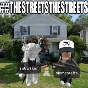 ##THESTREETS(feat. sn6wsknn & sk00tt) (Explicit)