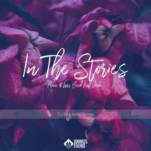 In The Stories (DJ M-LeeM Remix)