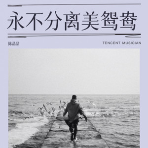 永不分离美鸳鸯 (伴奏)