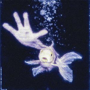 MEDICATED LOVE (Explicit)