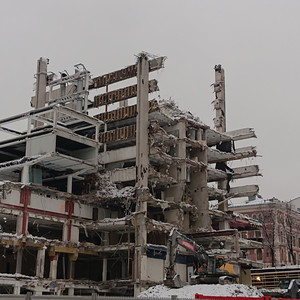 A Weekend in Gaza (nectarine in snow)