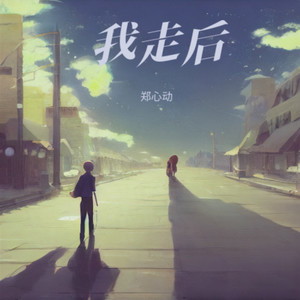 我走后 (DJ版)
