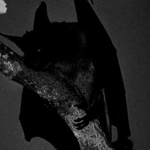 NOT INVITED : (feat. kuurxme) (Explicit)