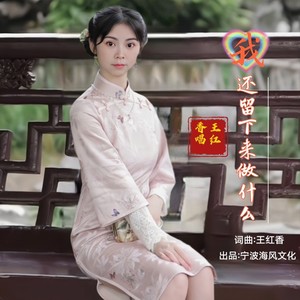 我还留下来做什么 (伴奏)