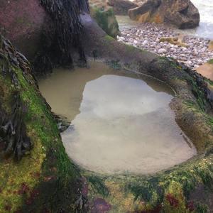 04sam - can't catch up (Explicit)