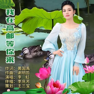 我在高邮等你来 (伴奏)