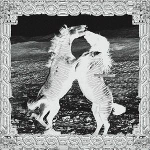 LUNAE ZEBRA (Explicit)