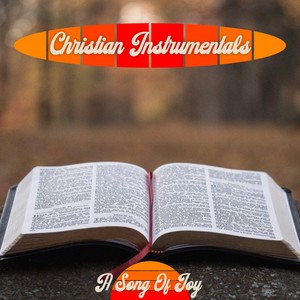 A Song of Joy - Christian Instrumentals