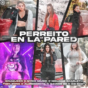 Perreito en la Pared