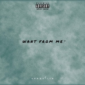 Want From Me (Explicit)