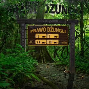 PRAWO DŻUNGLI (feat. Denzel 07JT, Zawada 07JT, Karollo 07JT, Borzo 07JT, Rudy Foxx, Grabo 07JT & Kamilioner 07JT) [Explicit]