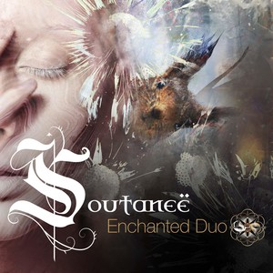Soutaneë