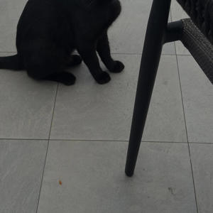 Black and blue (love)