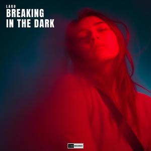 Breaking In The Dark