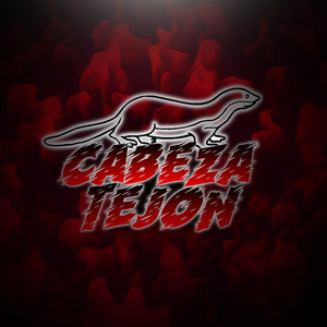 Cabeza Tejon