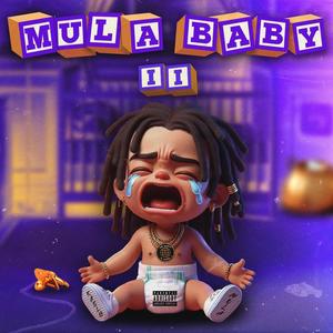 Mula Baby 2 (Explicit)