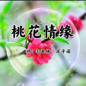 桃花情缘《云南山歌》