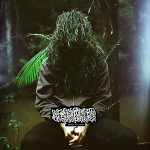 Hilt (feat. Soho Rezanejad)