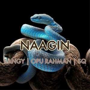 Naagin