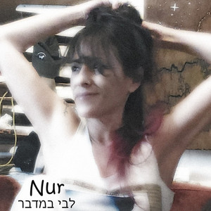 לבי במדבר