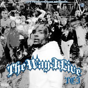 What Niggas Do (feat. TC4) (Explicit)