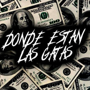 DONDE ESTAN LAS GATAS