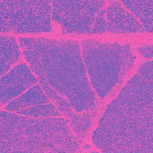 Radical Bicep - Oleander