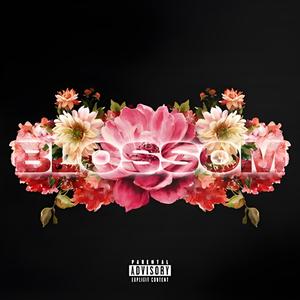 Blossom (Explicit)