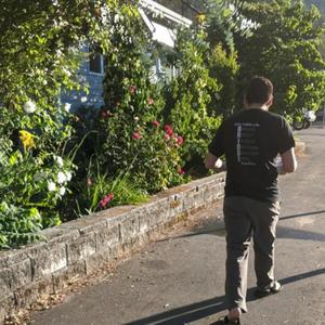 fever dream (Explicit)