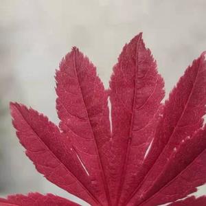 艾浒-一年级的小蜜蜜-变公主的女生-第十五集-给未来的自己-成品-V1-20210206-海沫