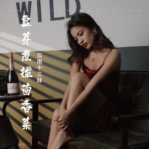 姊妹相约打歌玩 (Live)封面
