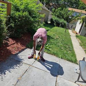 DUMPER SPINNER (Explicit)