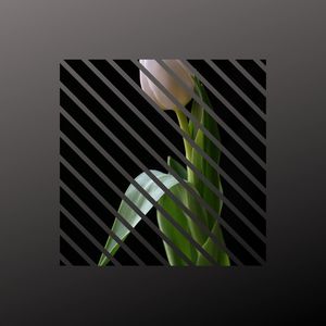 Sound Therapist - Vastly