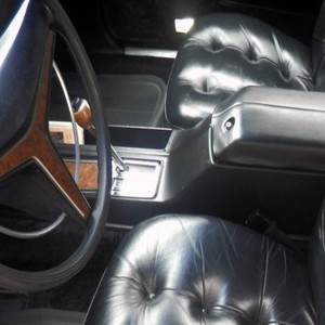 Corinthian Leather
