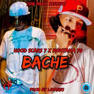 Bache (Explicit)