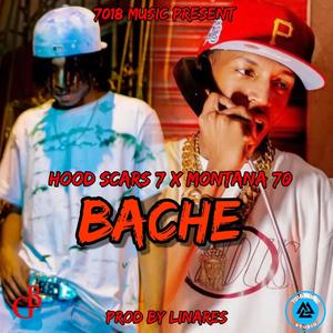 Bache (Explicit)