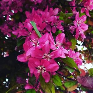 Me & You(feat. Codey Exe & Eryn Nicole) (Explicit)