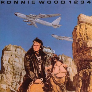 Wind Howlin' Through (Album Version)