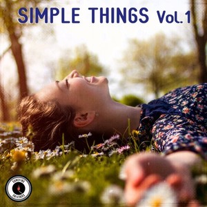 Simple Things, Vol. 1