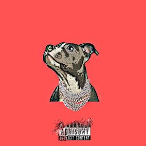 100 RACCS (feat. MiddleManR3ek) (Explicit)